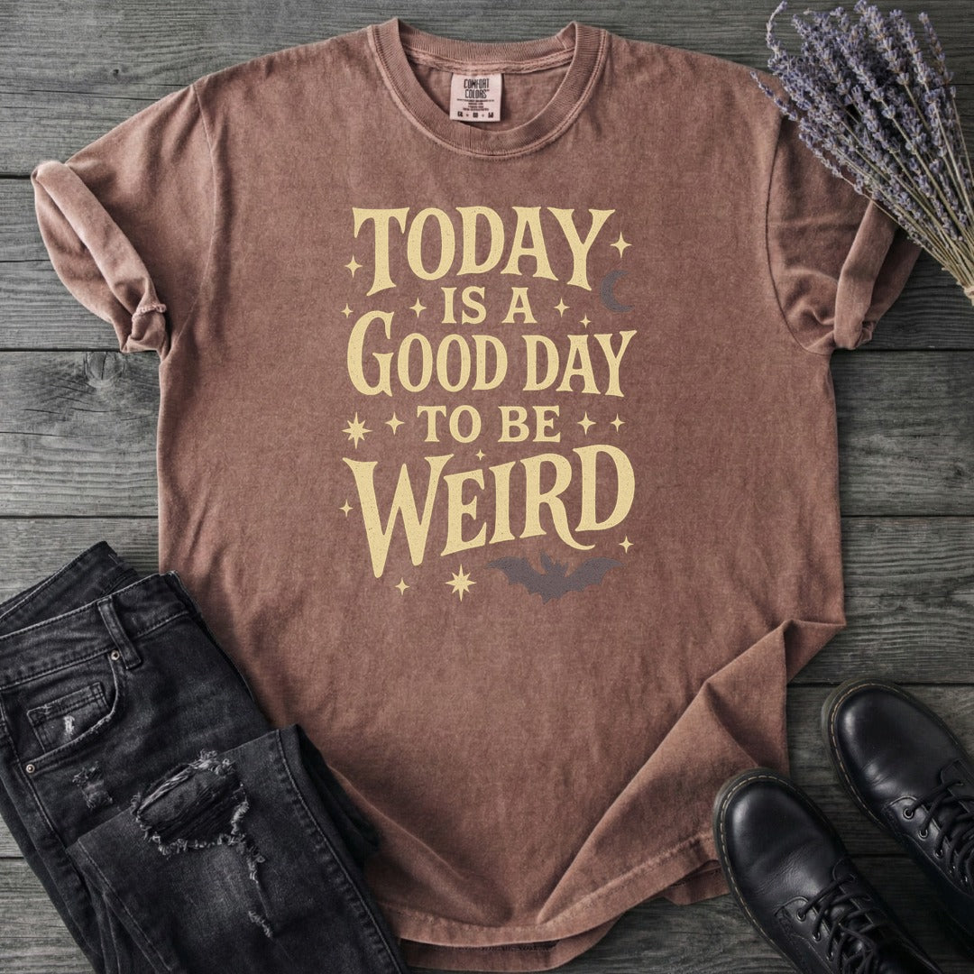 Today Is A Good Day To Be Weird T-Shirt