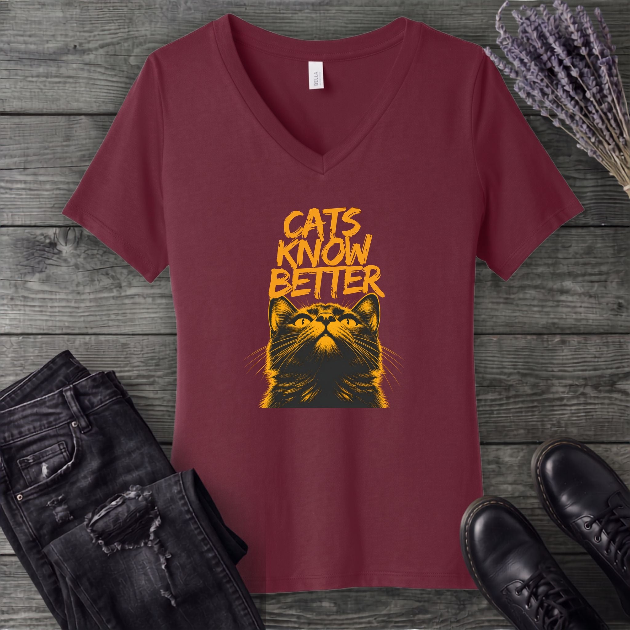 Cats Know Better V-Neck T-Shirt