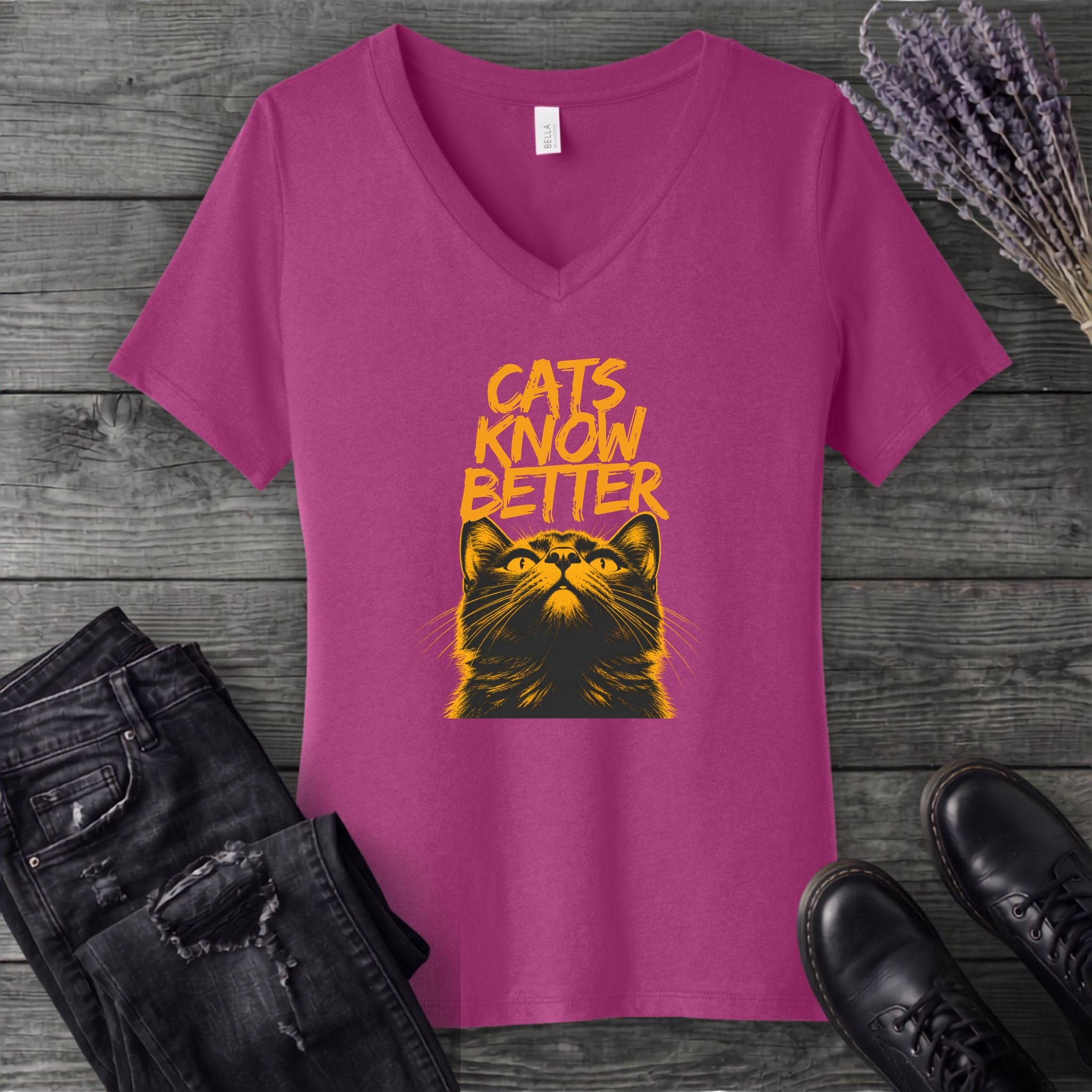 Cats Know Better V-Neck T-Shirt