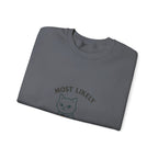 Most Likely To Adopt A Ghost Cat Sweatshirt
