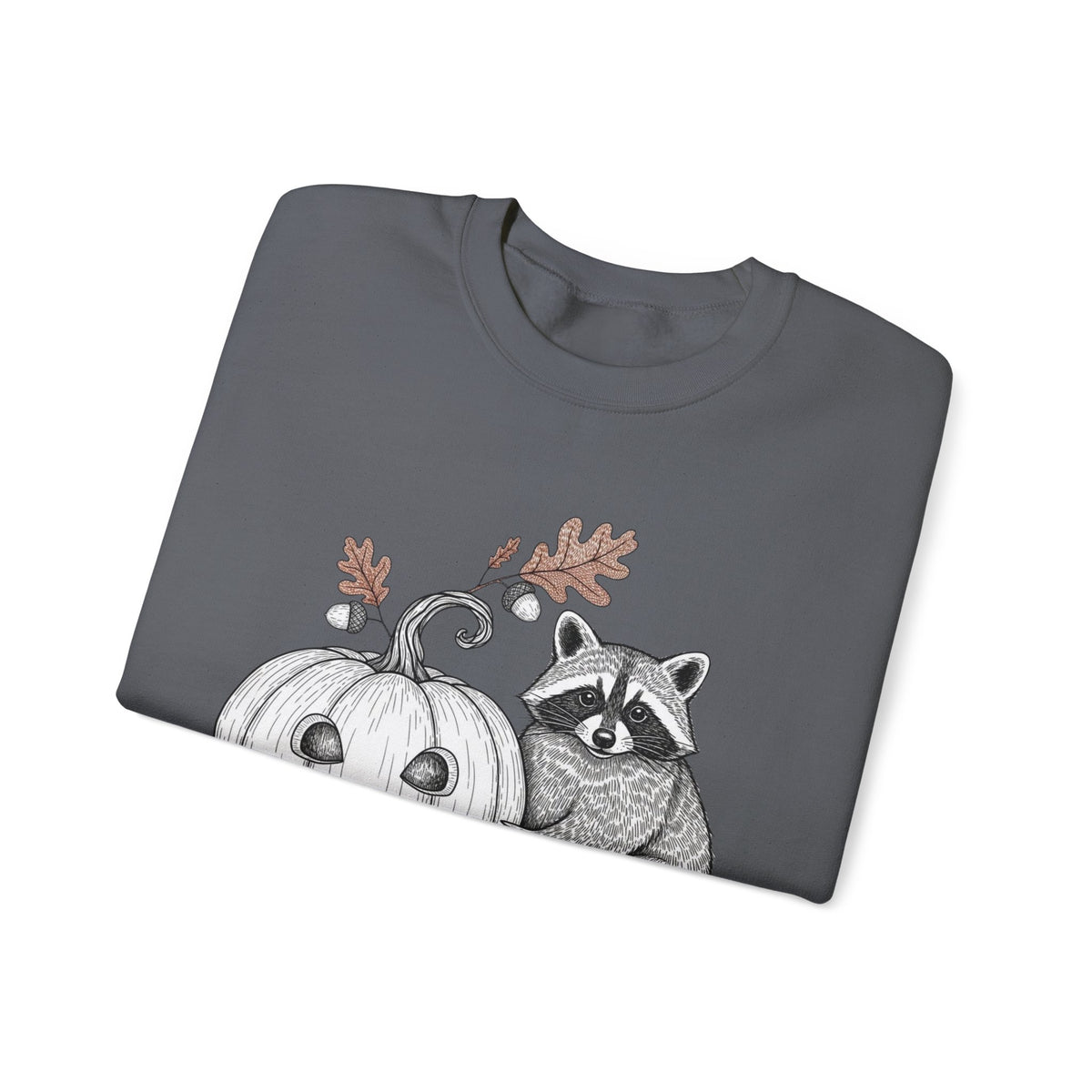 Raccoon And Pumpkin Sweatshirt
