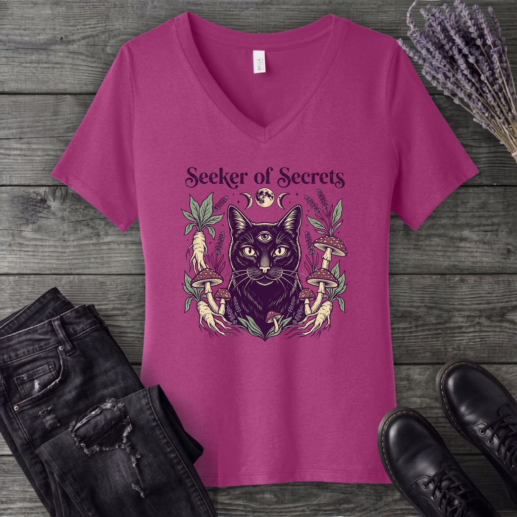 Seeker Of Secrets V-Neck T-Shirt