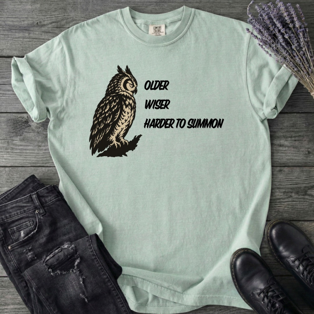 Older Wiser T-Shirt