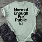 Normal Enough For Public T-Shirt