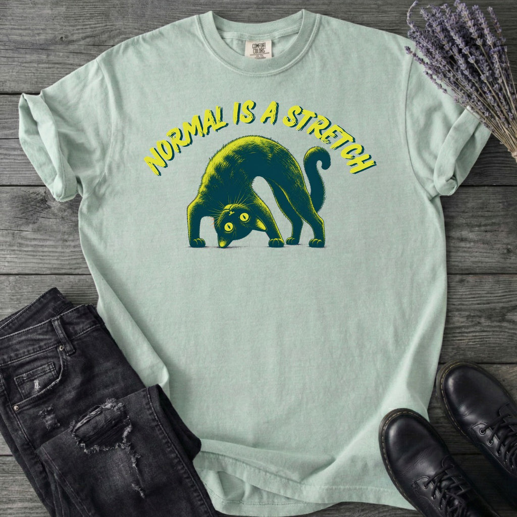 Normal Is A Stretch T-Shirt