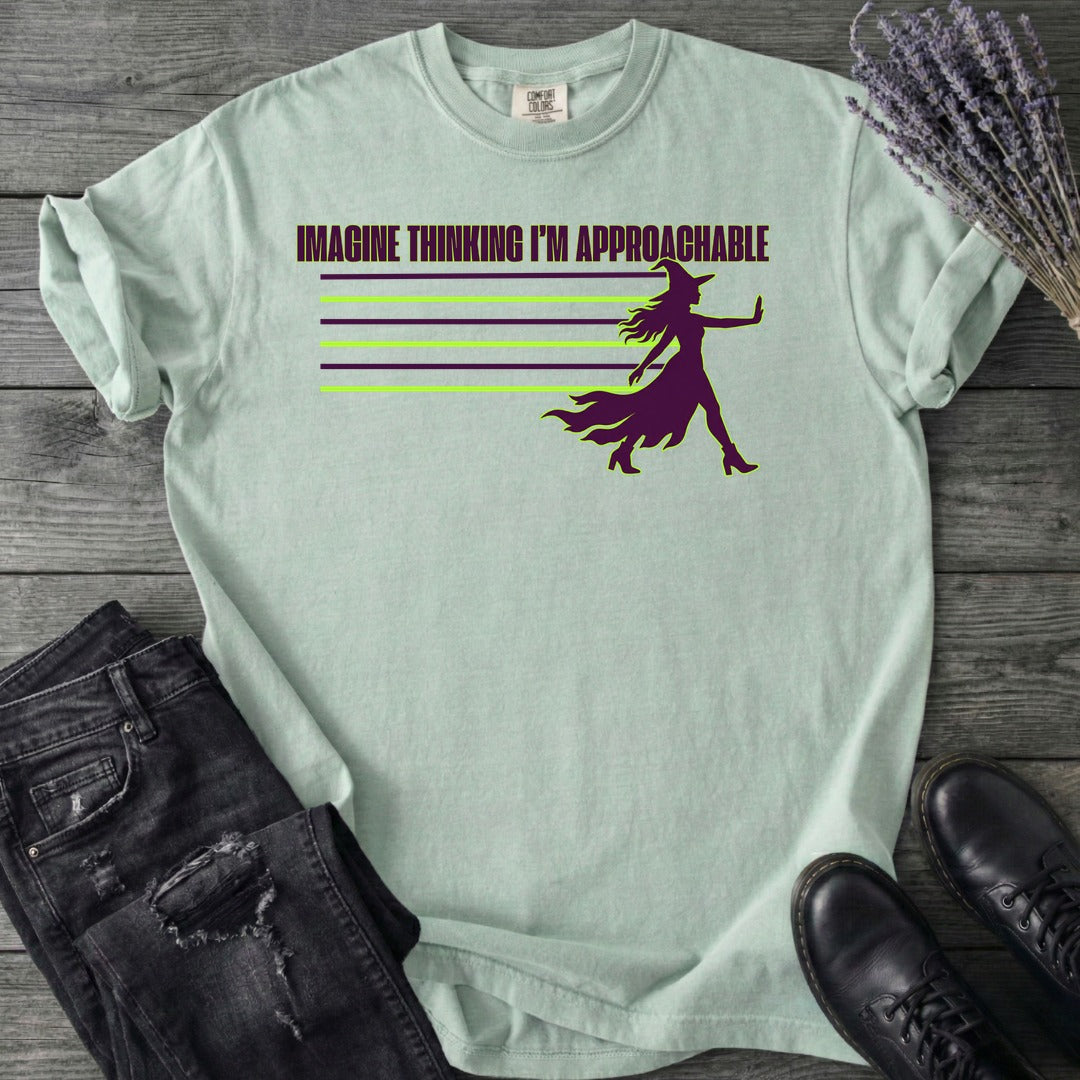 Imagine Thinking I'm Approachable T-Shirt