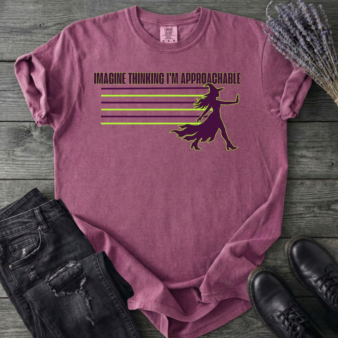 Imagine Thinking I'm Approachable T-Shirt