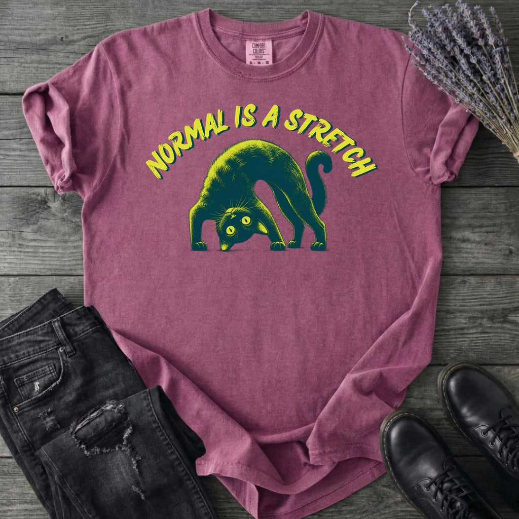 Normal Is A Stretch T-Shirt