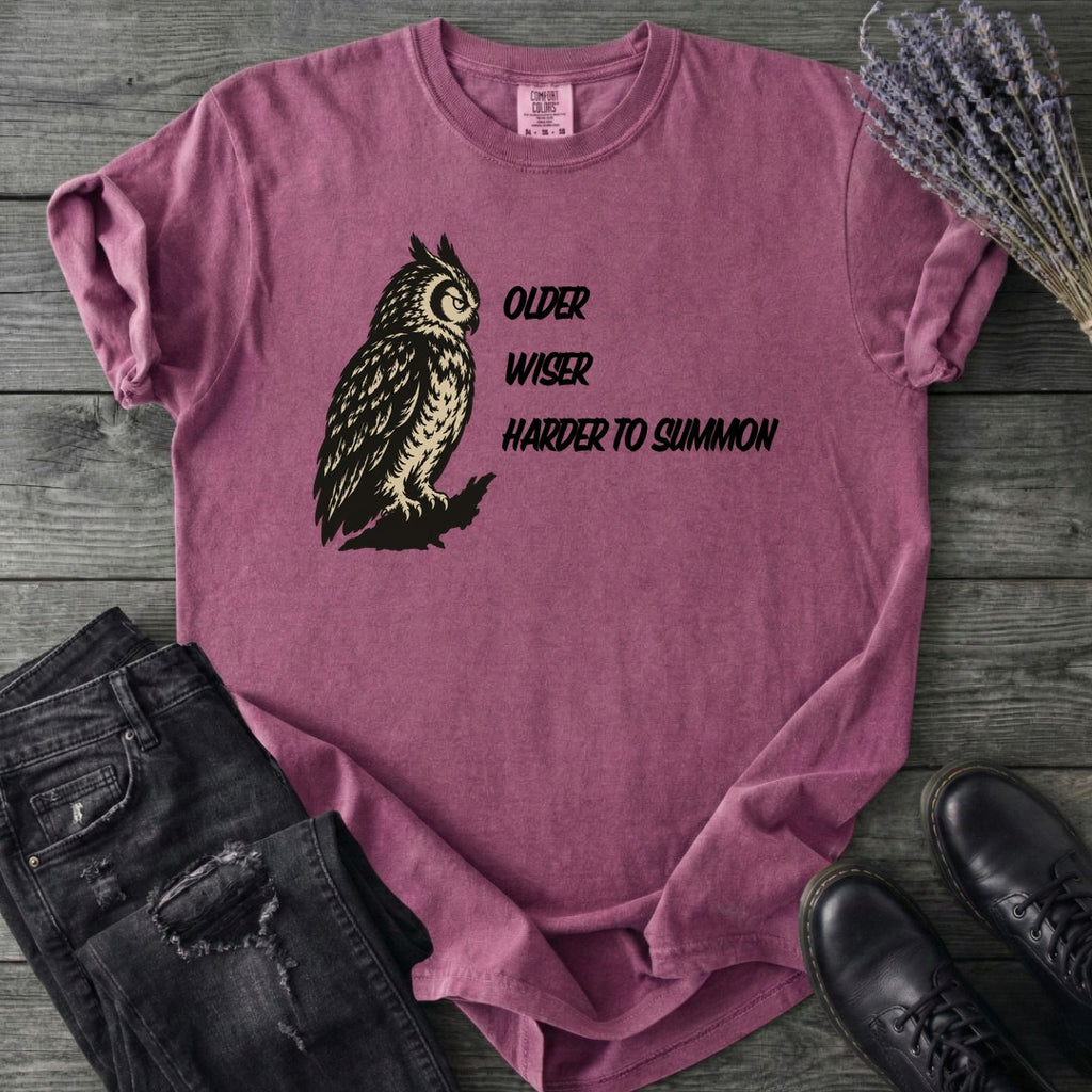 Older Wiser T-Shirt