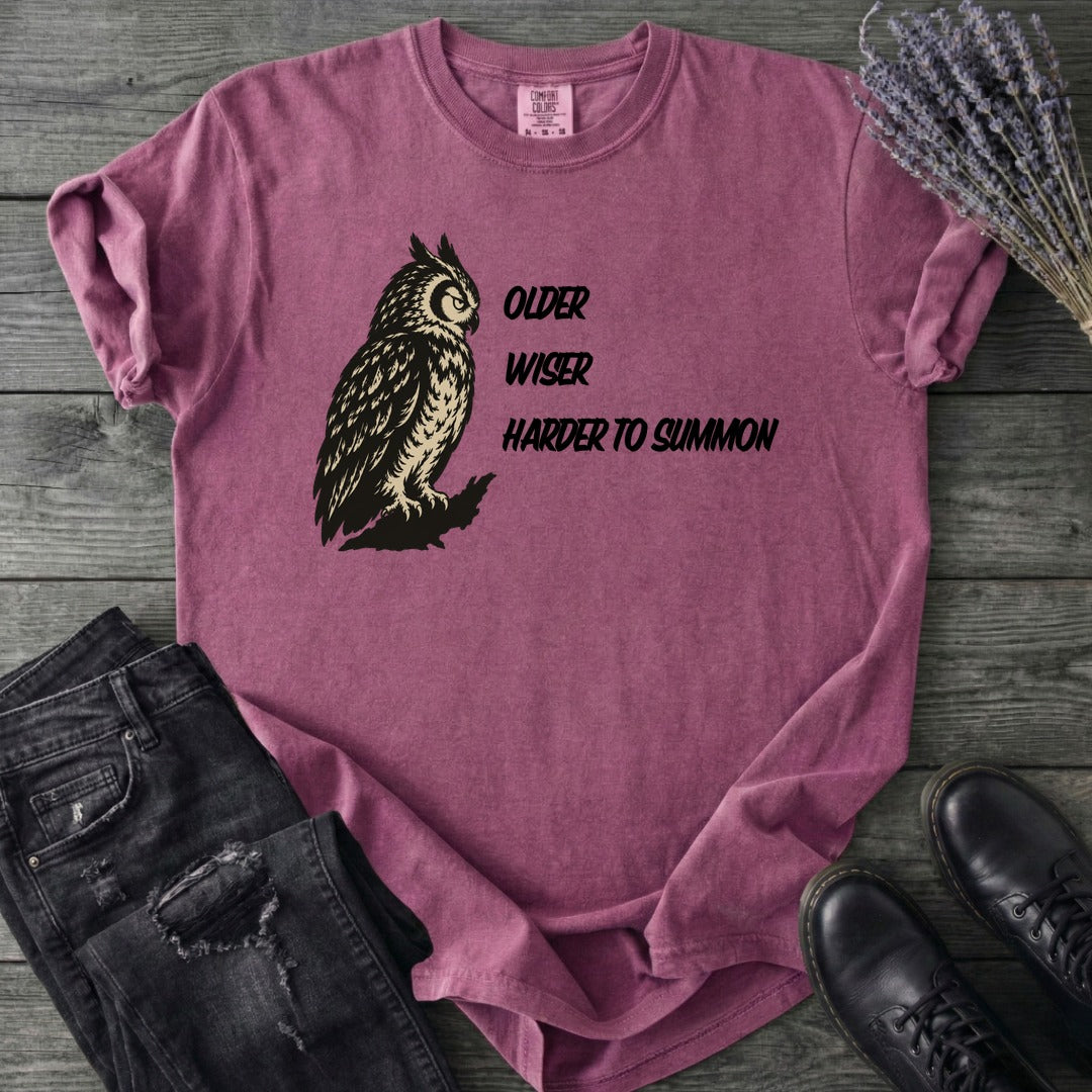 Older Wiser T-Shirt