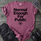 Normal Enough For Public T-Shirt