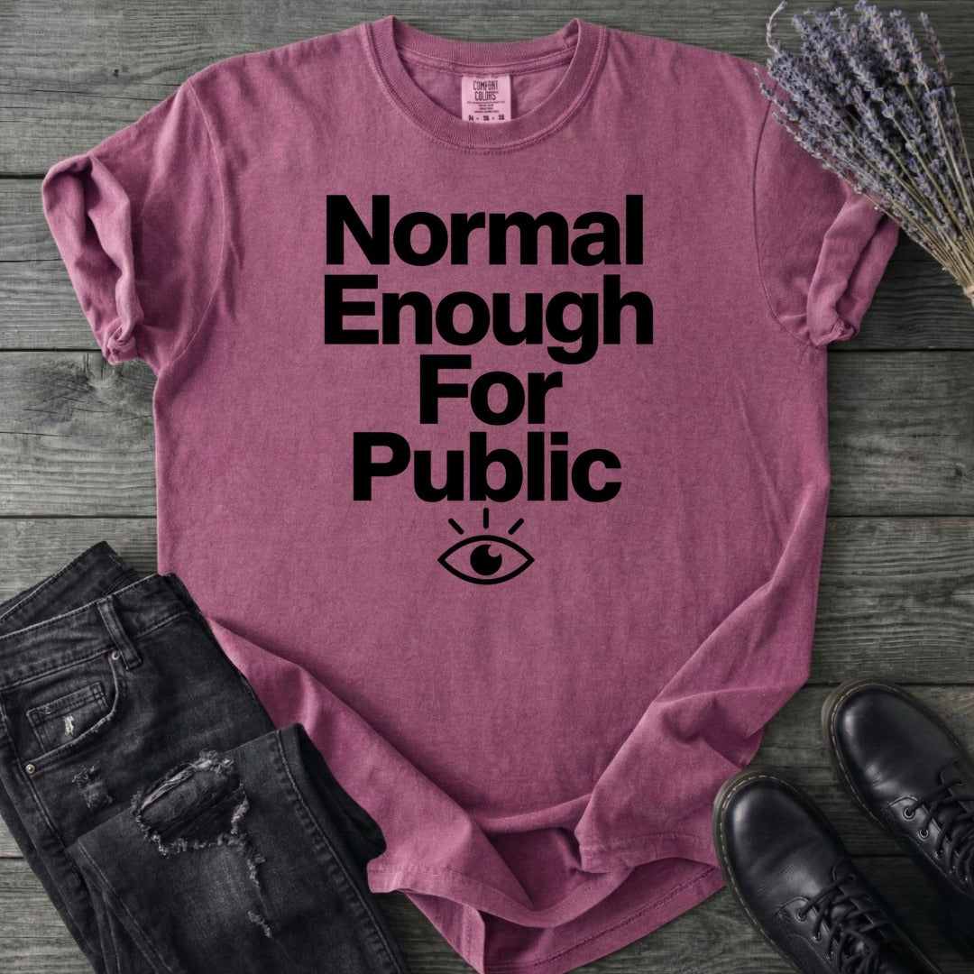 Normal Enough For Public T-Shirt