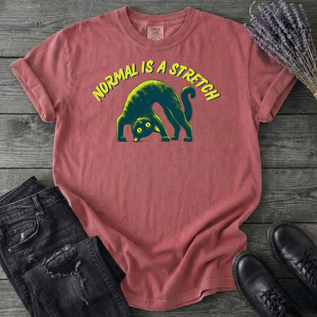 Normal Is A Stretch T-Shirt
