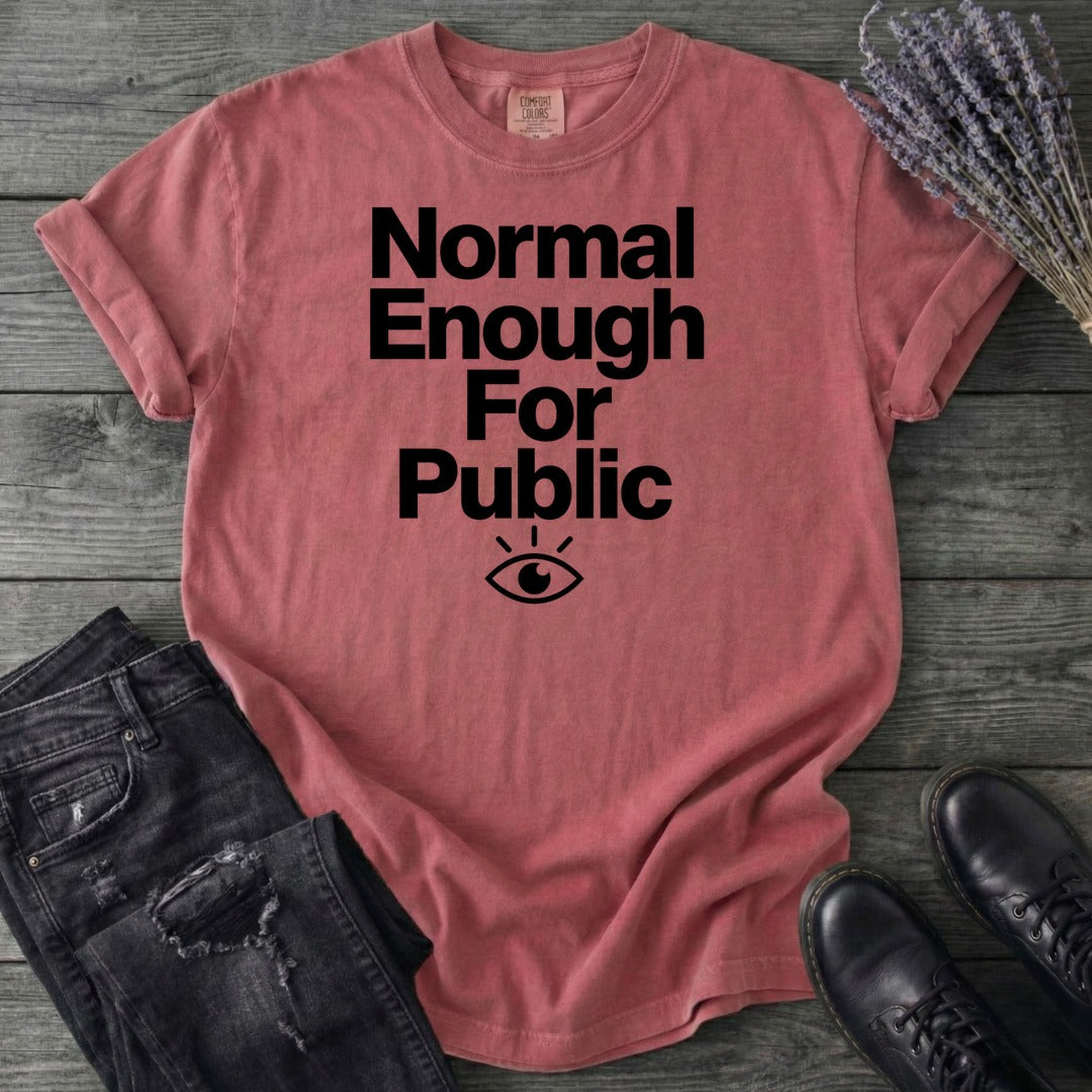 Normal Enough For Public T-Shirt