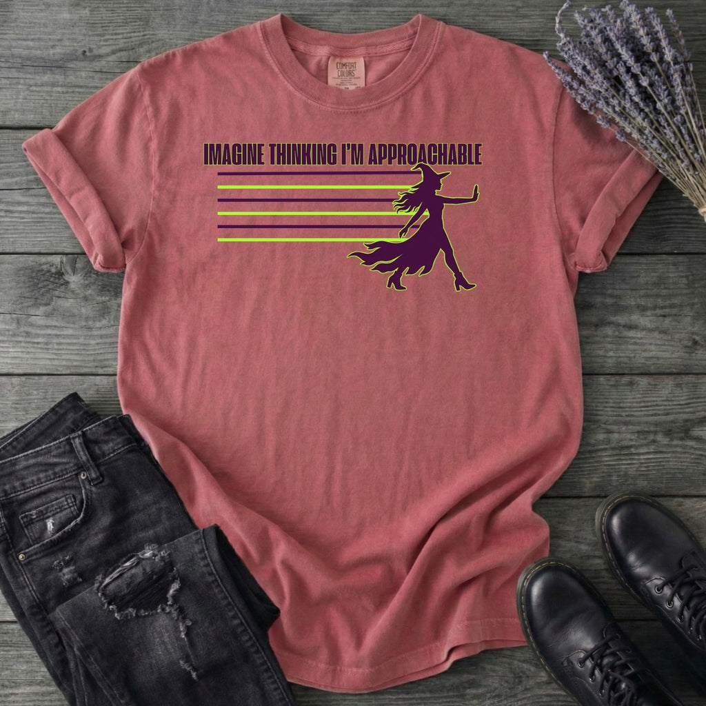 Imagine Thinking I'm Approachable T-Shirt