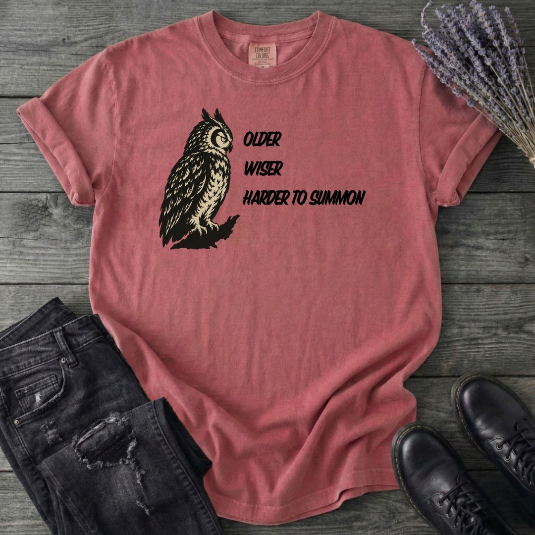 Older Wiser T-Shirt