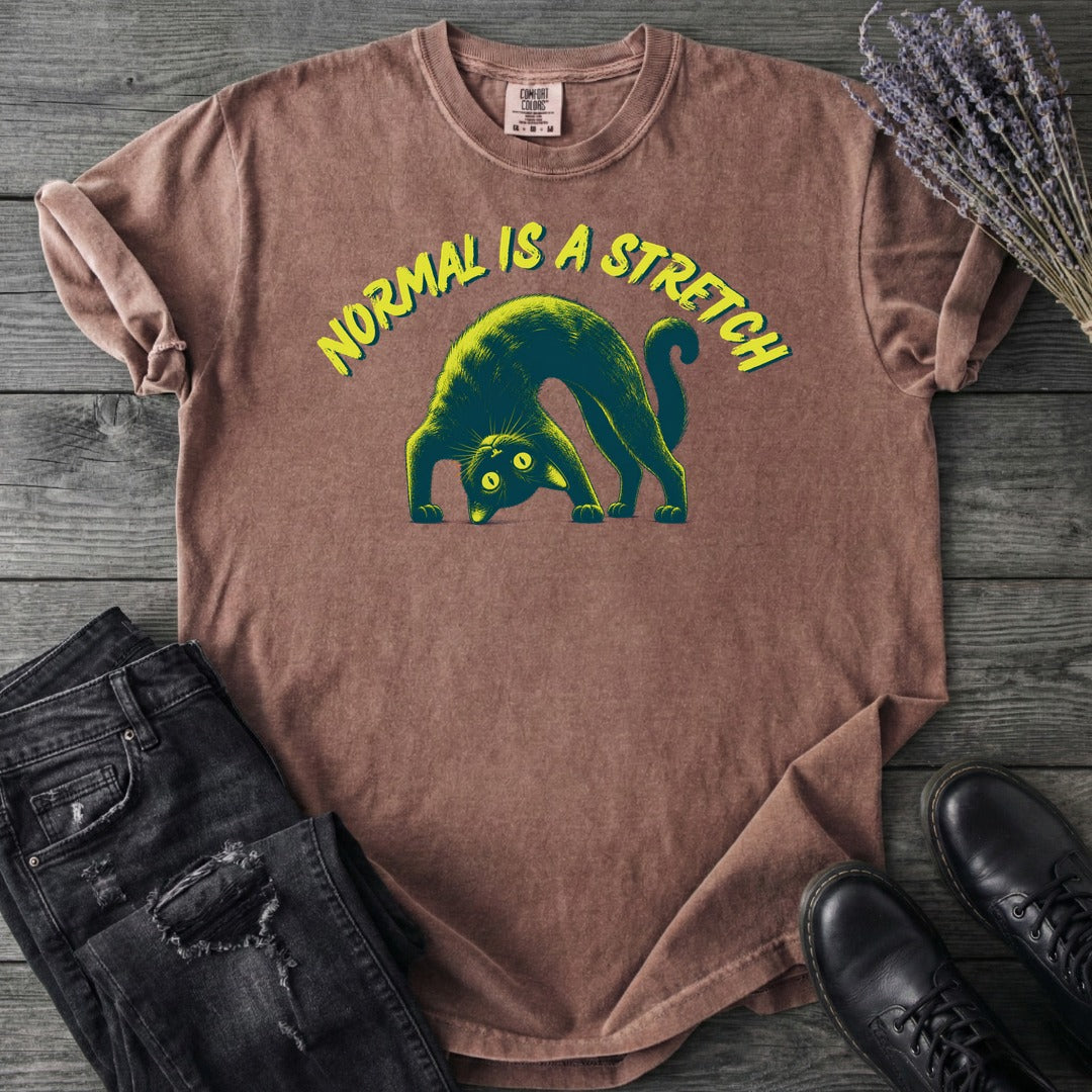 Normal Is A Stretch T-Shirt