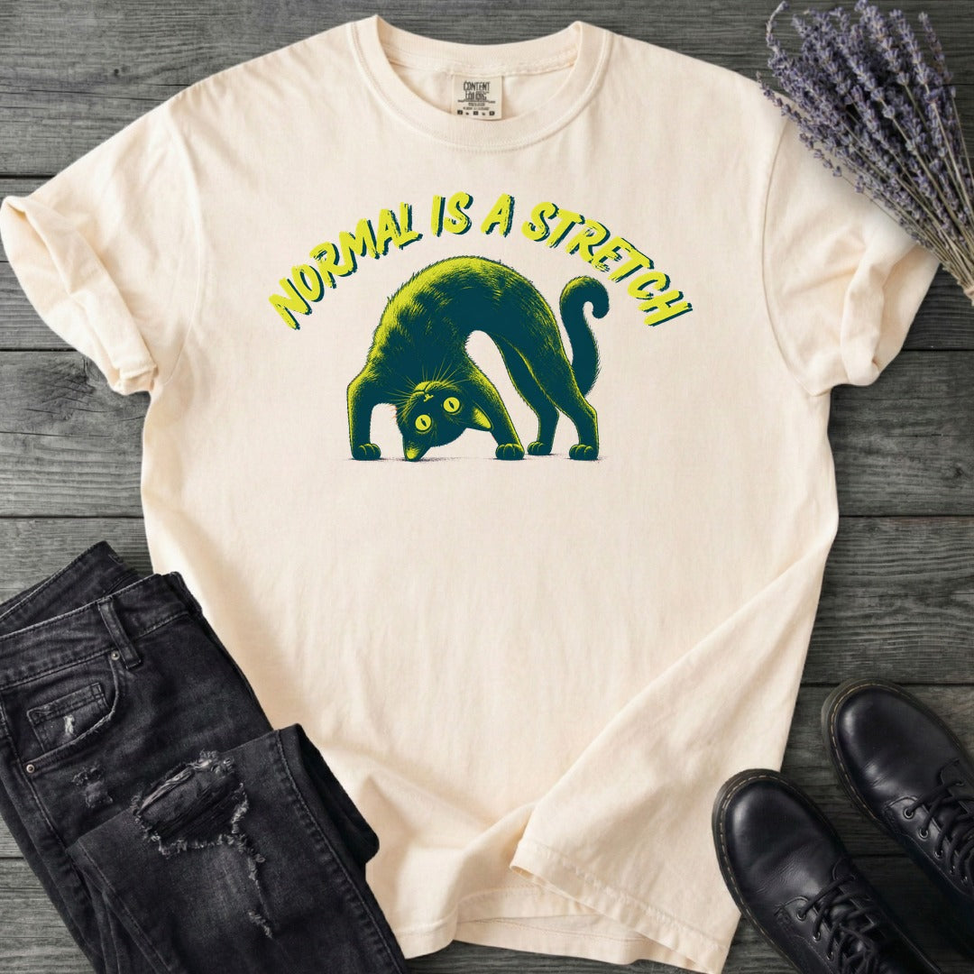 Normal Is A Stretch T-Shirt