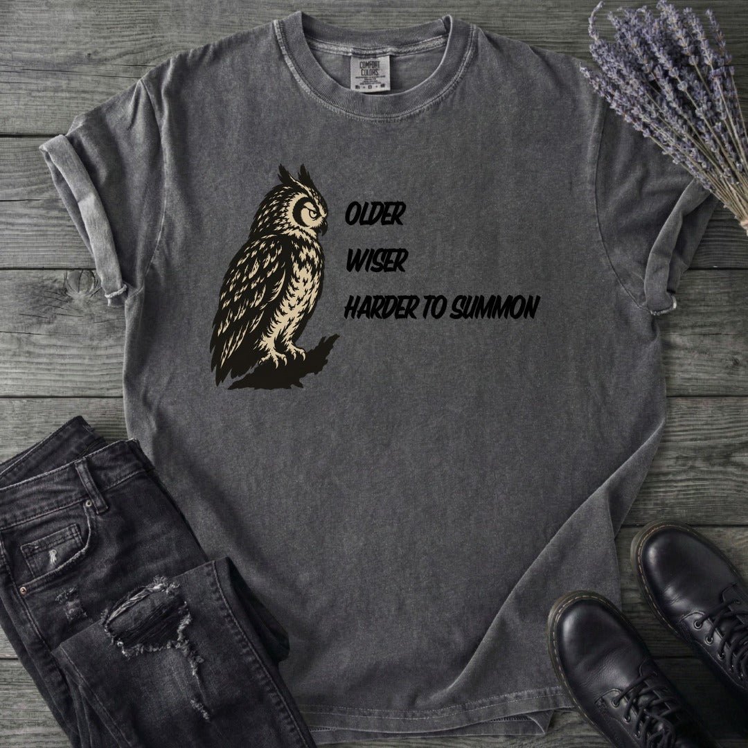 Older Wiser T-Shirt