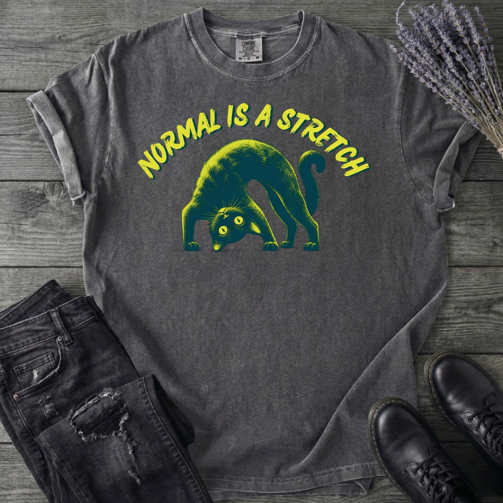 Normal Is A Stretch T-Shirt