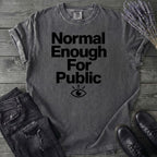 Normal Enough For Public T-Shirt