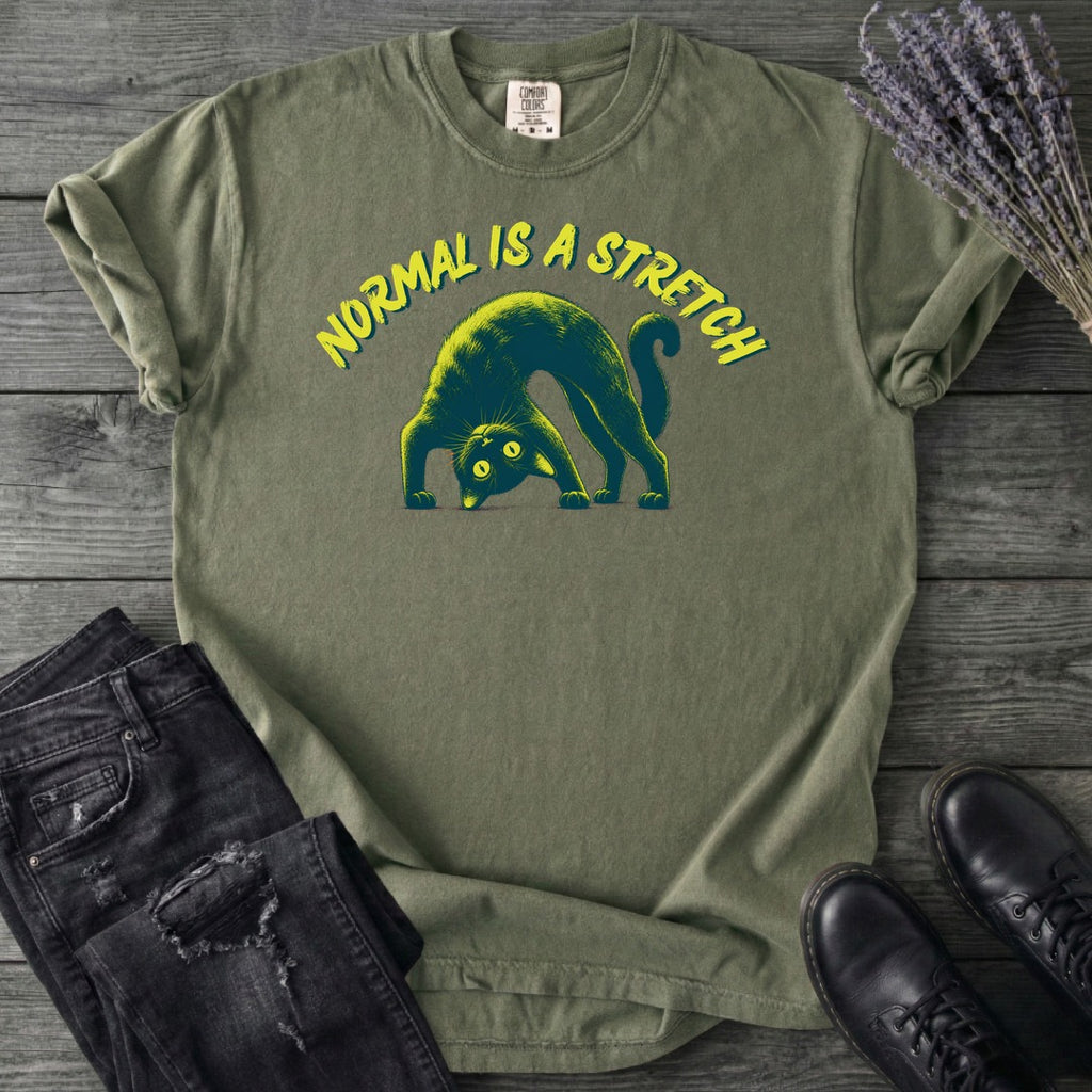 Normal Is A Stretch T-Shirt