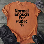 Normal Enough For Public T-Shirt