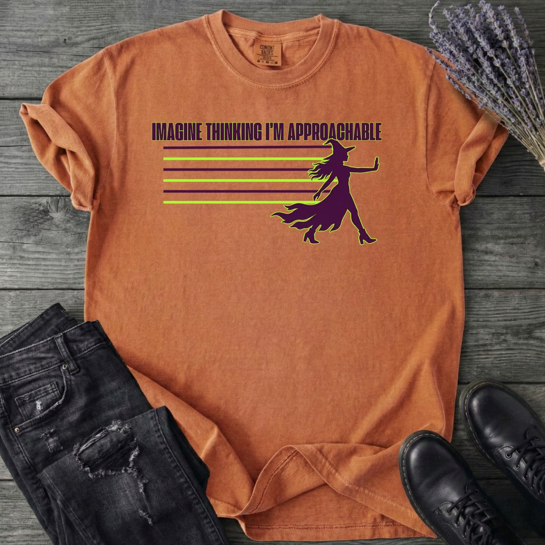 Imagine Thinking I'm Approachable T-Shirt