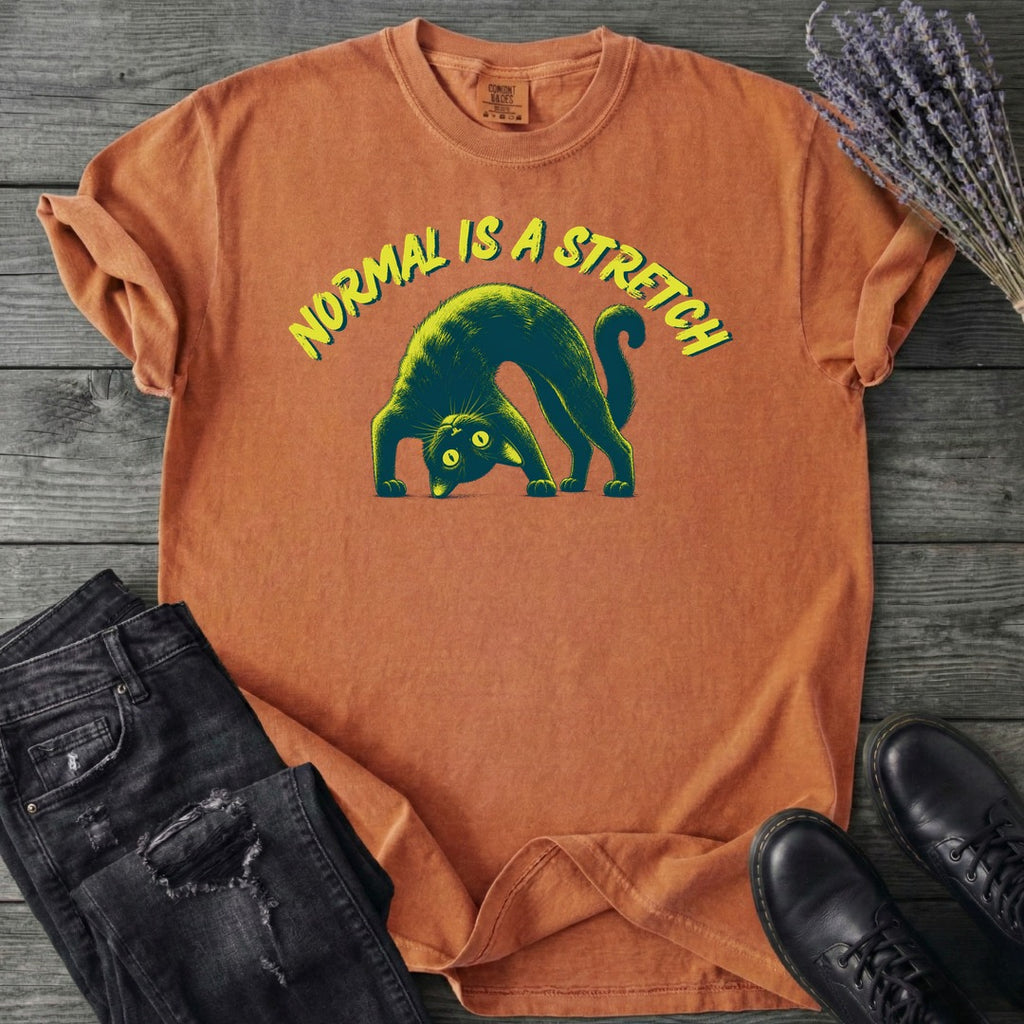 Normal Is A Stretch T-Shirt