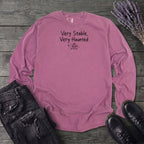 Very Stable, Very Haunted Long Sleeve T-Shirt