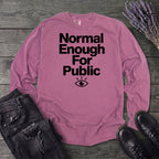 Normal Enough For Public Long Sleeve T-Shirt
