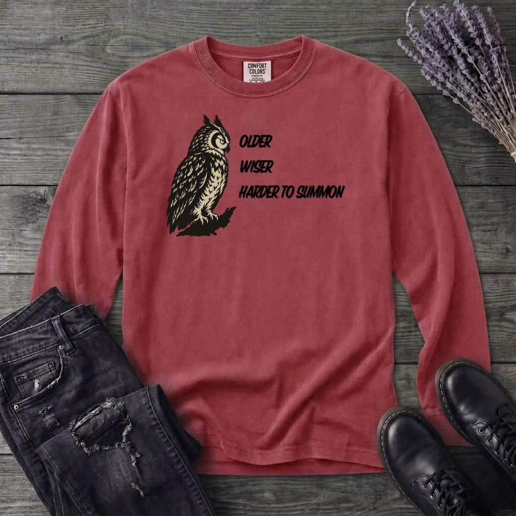 Older Wiser Long Sleeve T-Shirt