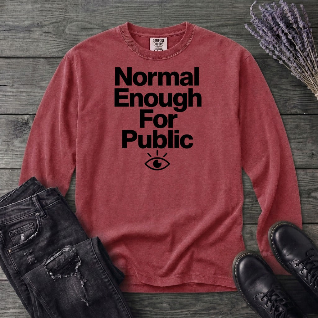 Normal Enough For Public Long Sleeve T-Shirt