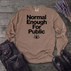 Normal Enough For Public Long Sleeve T-Shirt