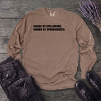 Spellbooks and Spreadsheets Long Sleeve T-Shirt