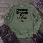 Normal Enough For Public Long Sleeve T-Shirt