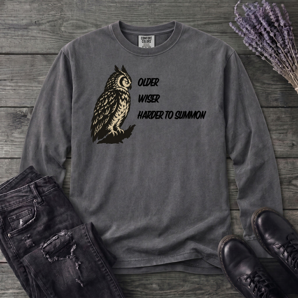Older Wiser Long Sleeve T-Shirt