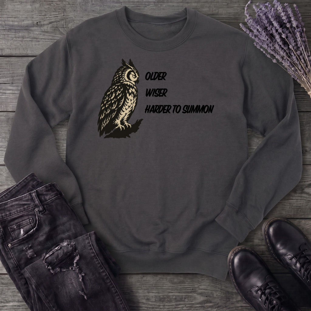 Older Wiser Sweatshirt