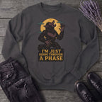 Im Just Going Through A Phase Sweatshirt