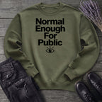 Normal Enough For Public Sweatshirt